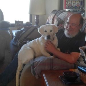 Meet your Posher, Bruce